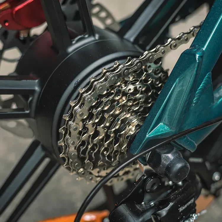 Fiido M1 Pro Fat Tire Electric Bike