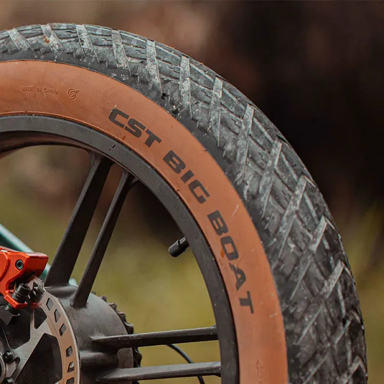 Fiido M1 Pro Fat Tire Electric Bike