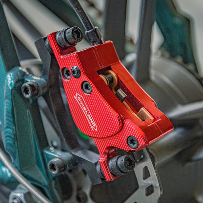 Fiido M1 Pro Fat Tire Electric Bike