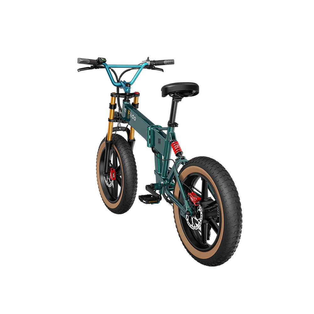 Fiido M1 Pro Fat Tire Electric Bike